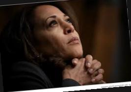 Does Kamala Harris Have A Working Class Black Man Problem It S Complicated565x801